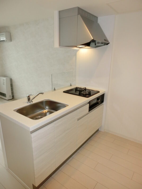 ヴェルデマンティス スライド画像8枚目