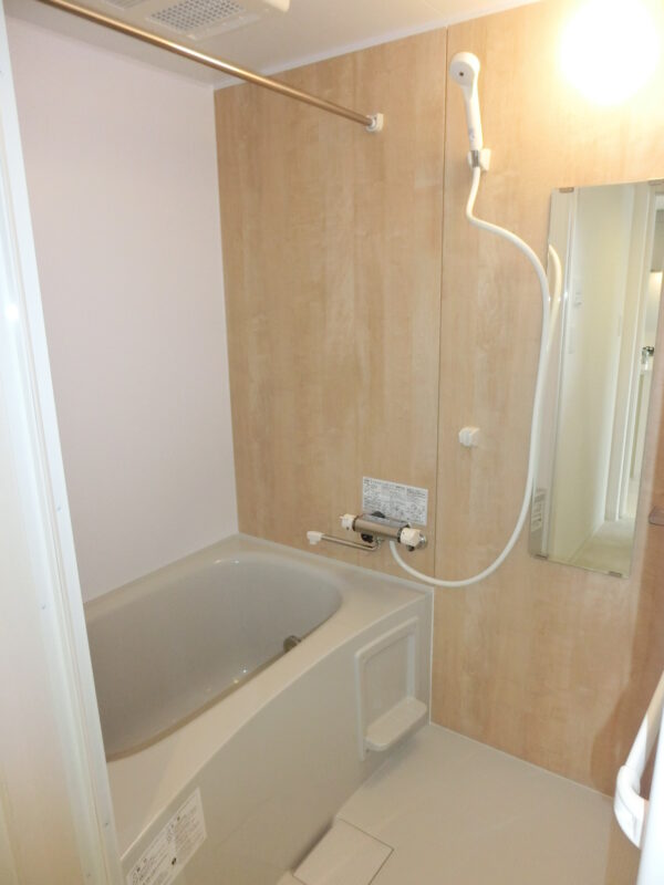 ヴェルデマンティス スライド画像9枚目