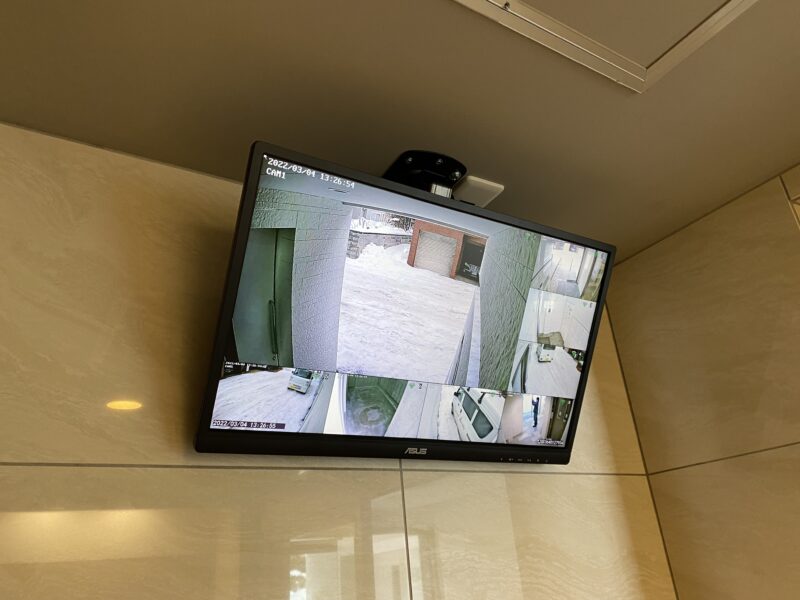 ヴェルデマンティス スライド画像4枚目